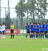 精神展示：女足决赛场上无法忽视的简单介绍